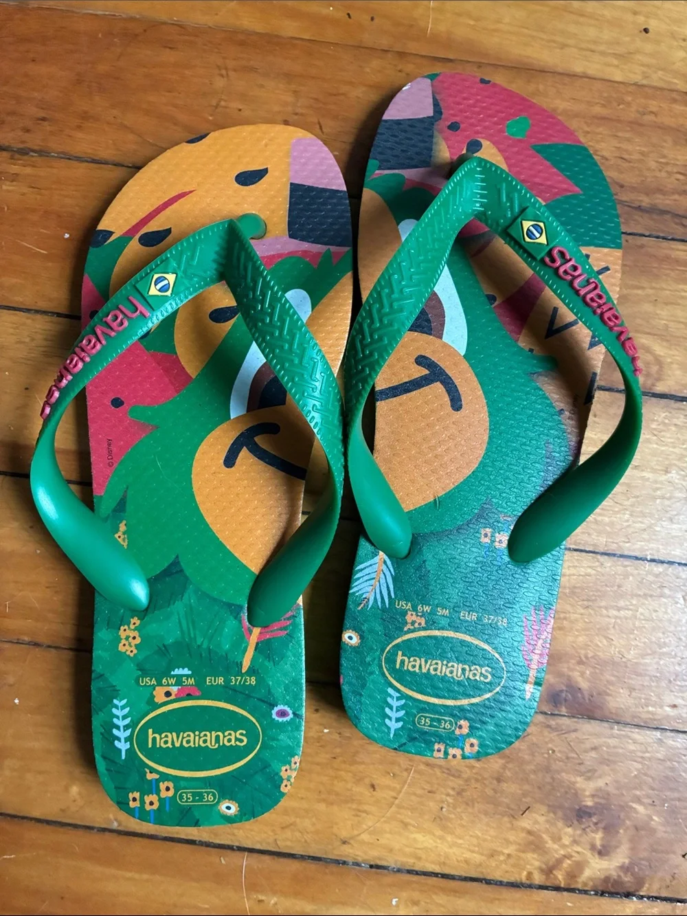 Havaianas Brazil Green Tropical Cartoon Flip Flops